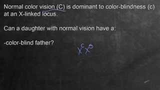 Mendelian Genetics: Example Problem 1