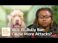 XL Bully Ban: Will the New Rules Lead to More Attacks? | Good Morning Britain