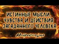 Истинные мысли, чувства и действия загаданного человека | Таро онлайн | Расклад Таро | Гадание