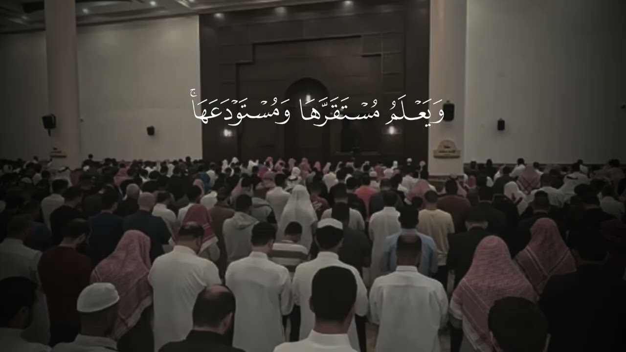 استفتاحية جميلة للشيخ محمد اللحيدان حفظه الله من تراويح الليلة الخامسة عشر من سورة هود 14/رمضان/1447