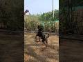#phonk #rottweiler #dog #dogowner #doberman #dogtraining #petowner #rottweilerpuppy #love #pitbull