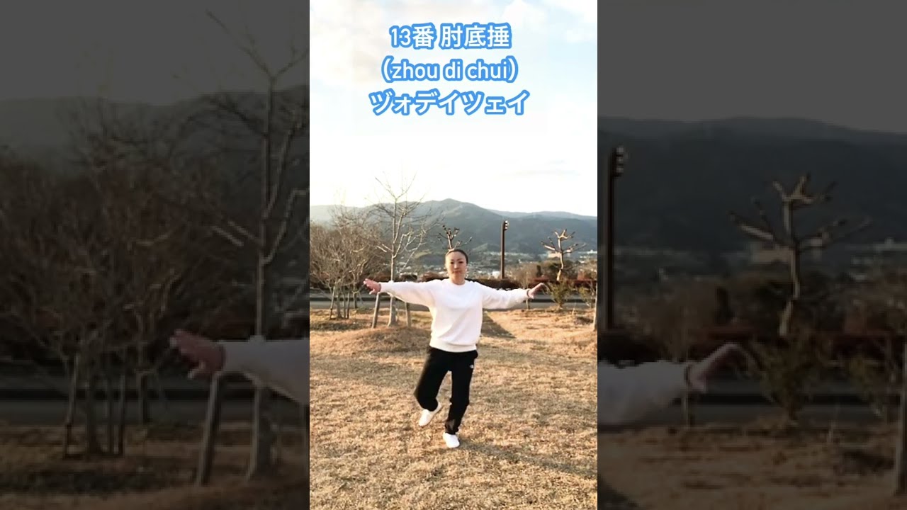 チャンピオンが教える 強くて美しい42式太極拳 Amazon.co.jp: 強くて美しい42式太極拳: チャンピオンが教える