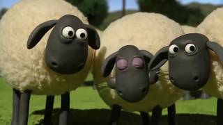 NEW Shaun The Sheep 11 hours- Best Funny Cartoon 2018 تجميعة كرتون الخروف الممتع 11 ساعة متواصلة