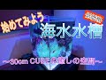 始めてみよう　海水水槽〜30cm CUBE〜