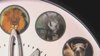 National Geographic Clock