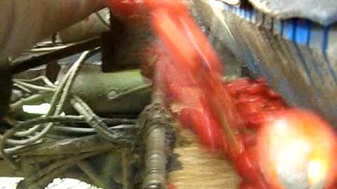Odenberg color sorter