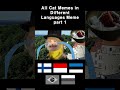 All Cat Memes in Different Languages Meme part 1 #shorts