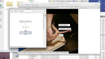 Cmap Resources Tutorial