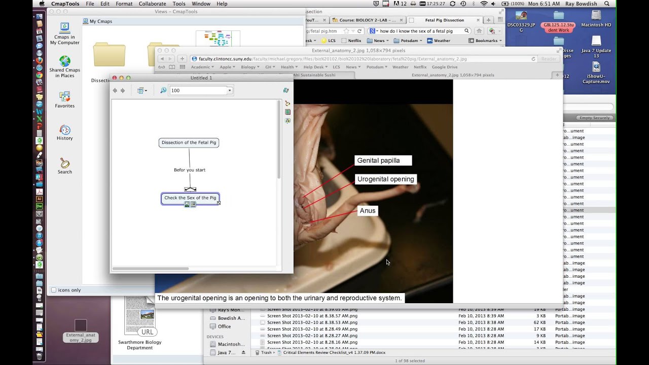 Cmap Resources Tutorial - YouTube