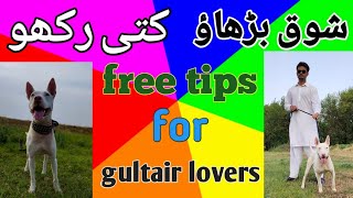 shoq barhao...kutti rakho...free tips for gultair lovers Pakistan..by Ustad noman Khan by Ustad Noman Khan 5,975 views 2 years ago 6 minutes, 55 seconds