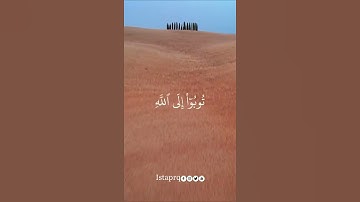 ياأيها الذين آمنوا توبوا إلى الله توبه نصوحا عسى ربكم يكفر عنكم سيئاتكم |سورة التحريم| ماهر المعيقلي