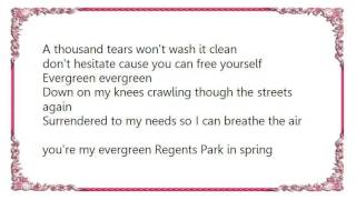 Feeder - You Are My Evergreen Lyrics