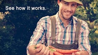 Real Plans - Real Food Meal Planning