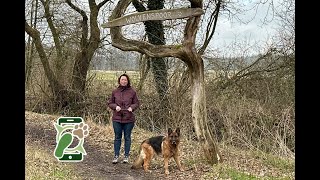 Wandelroute Wolvenspoor te Schoonloo (Drenthe) by Edwin Frakking 454 views 1 year ago 1 minute, 57 seconds