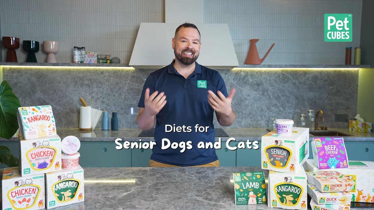Diets for Senior Pets Does my senior dog need special food? YouTube