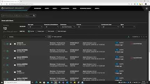 Protect Your Remote Workers Endpoints
