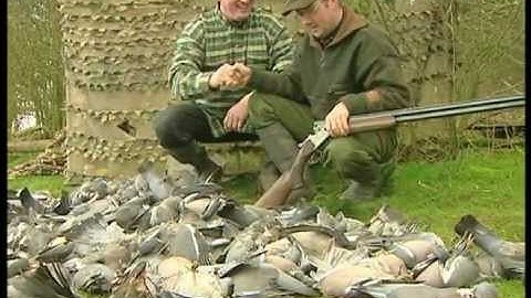 Red Letter Days - Hunters Video