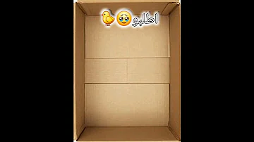 اطلبو اي شي و انا راح احطو في الصندوق 