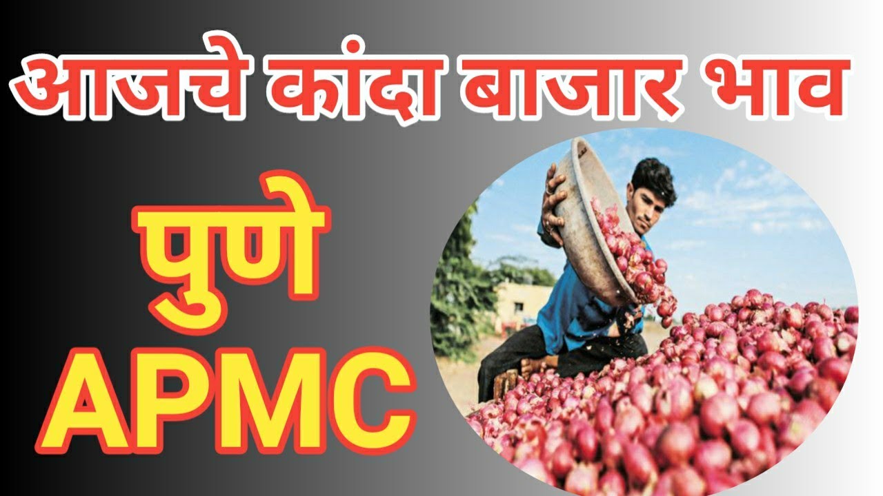 पुणे APMC चे कांदा बाजार भाव दि.09/09/2019 # onion price in Pune APMC