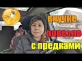 Новый сорт сыра🧀//Всех козлов забрали🐐//Вишенка на "торте"🍒