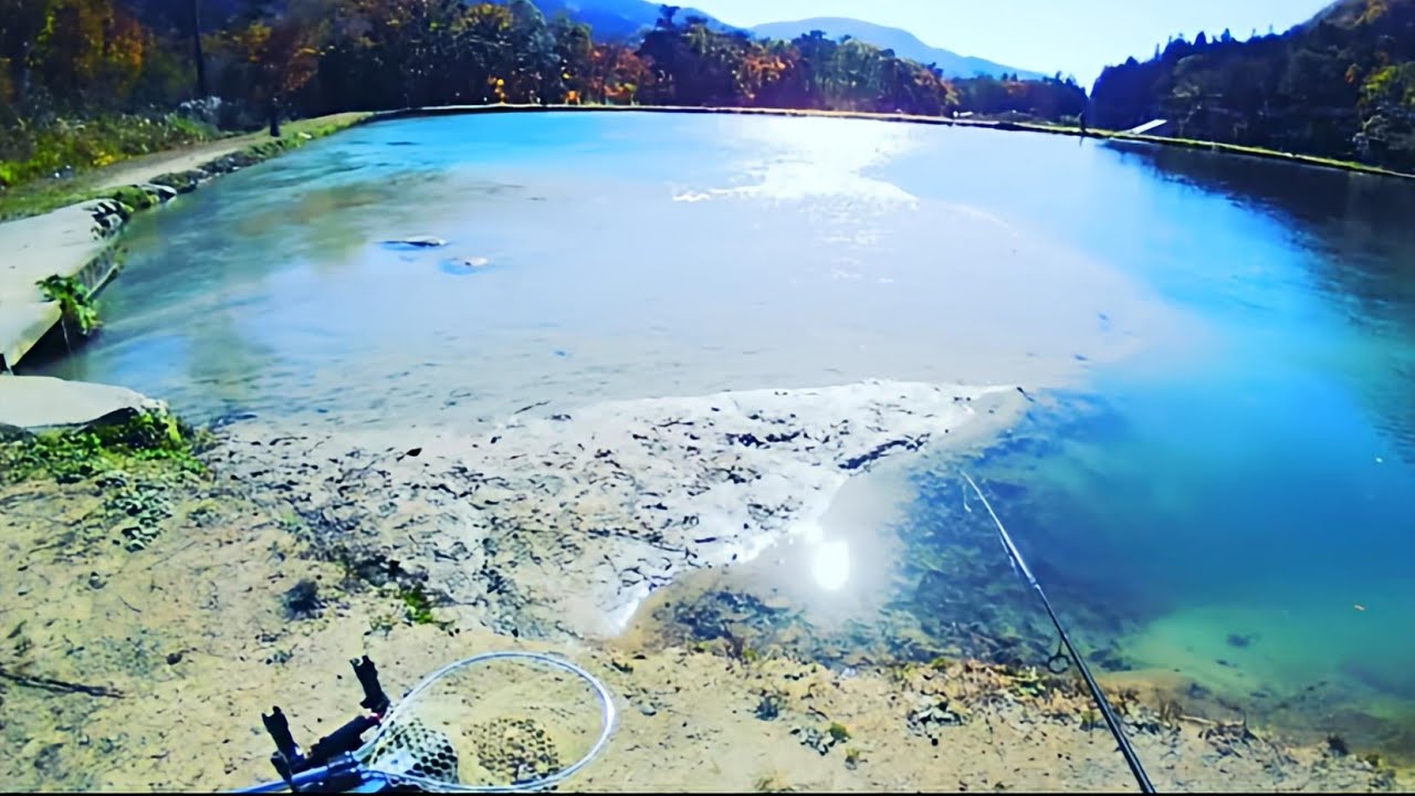 【資料】鹿島槍ガーデンで使用してみたアルミん5g