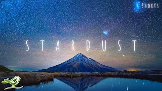 Stardust • Beautiful Relaxing Music & Starry Night (Preview) #Shorts