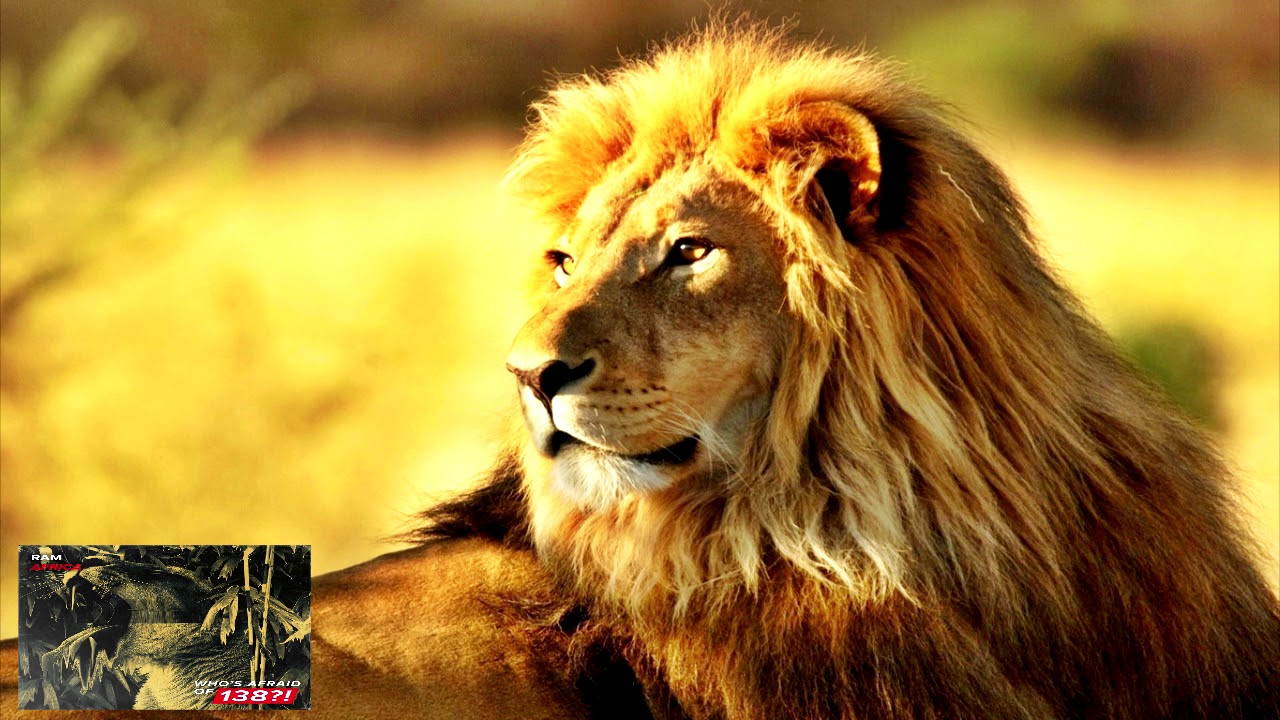 RAM - Africa (Extended Mix) ASOT 857