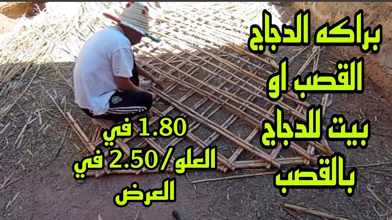 بناء منزل 🏡 او بركة او بيت تقليدي بالقصب للدجاج على اليوتيوب#صناعة #تقليدية