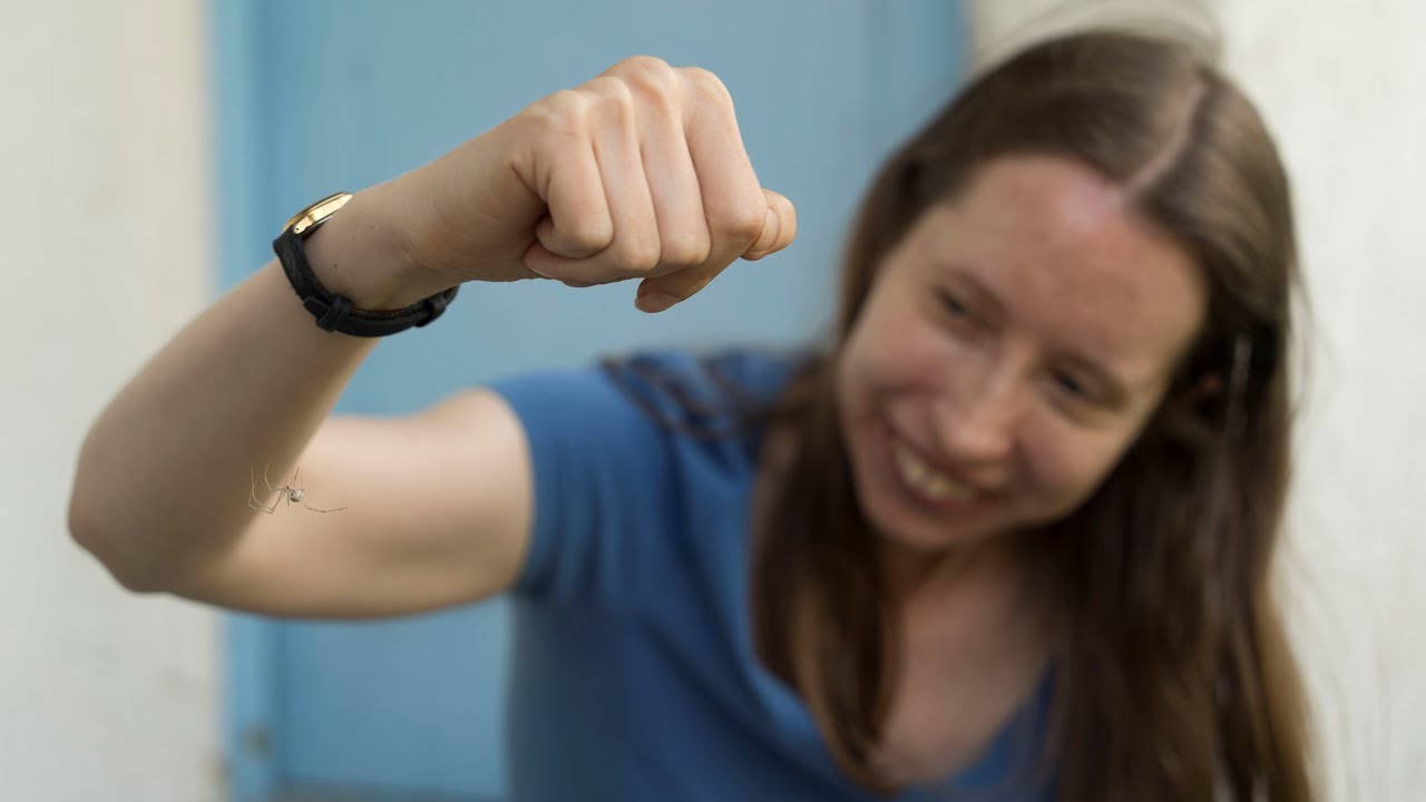 aikuisten Blow Job videot