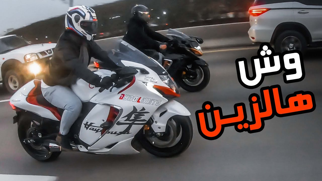 فلوق #54 ( الدباب ) : عددهم كثير ! بس هذا أجملهم + ثلاث هايبوزات في طلع وحدة