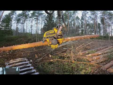 Video: Kuinka Ei Rikkoa Luonnetta