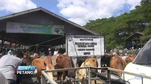 Jelang Idul Adha, Warga Aceh Gelar Tradisi Meugang