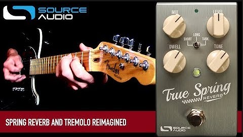 Source Audio True Spring Reverb