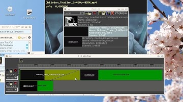 EDL Edit Window of mrViewer