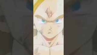 Por Que Goku No Siguió Entrenando En La Habitación Del Tiempo?