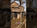 Have you ever heard this treehouse before?