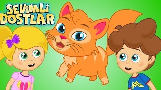 Kedi Miyav Dedi ve Sevimli Dostlar ile 45 Dakika Çocuk Şarkıları | Kids Songs and Nursery Rhymes