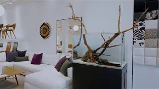 Aquarium Design Group Design Within Reach Houston Studio