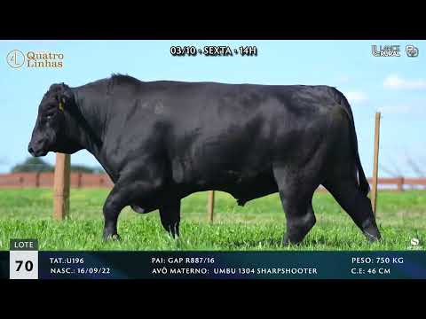 LOTE 070