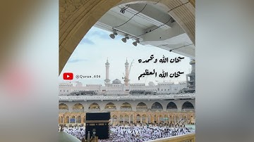 سورة الضحى بصوت الشيخ بيشاوا قادر الكردي