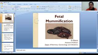 Fetal Mummification by Dr. Bhavna, Dept. of Veterinary Gynecology, BVC, Patna