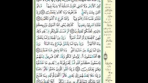 سورة البقرة | الصفحة 11| قالوا ادع لنا ربك|  الآيه مكررة ٥ مرات بصوت الحصرى #البقرة #الحصرى
