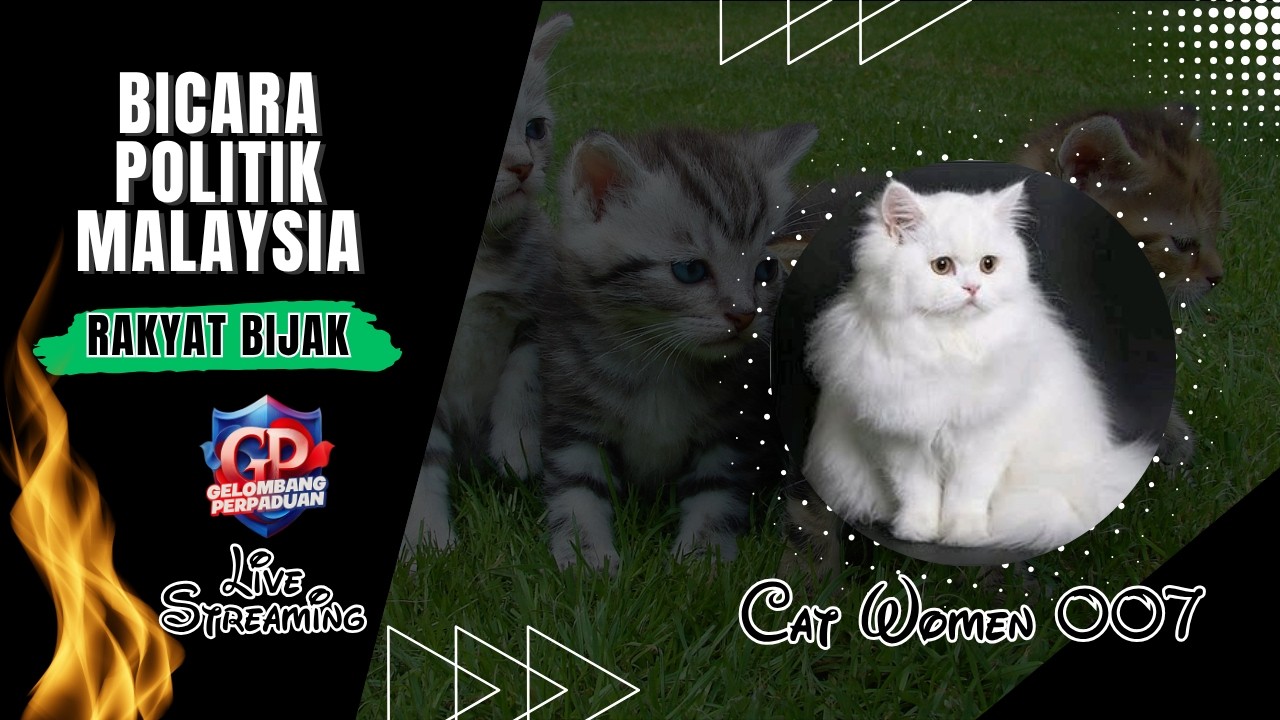 LIVE Sesi Malam 2/3/26 - Cat Women 007