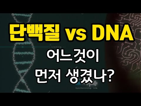 Видео: ДНХ ба РНХ ямар төстэй вэ?
