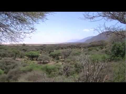 Video: Lake Manyara National Park: The Complete Guide