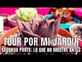 Te invito a recorrer mi jardín (segunda parte, lo que no te mostré)