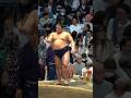 #平戸海 #令和6年大相撲三月場所九日目 #sumo #相撲