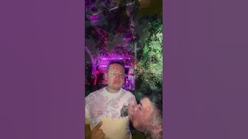 Video #2: Mandelbrot Set