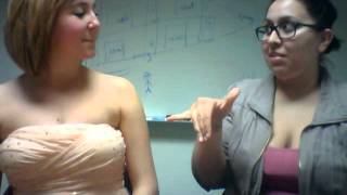 ASL 2 - Ch 8 Pair Practice