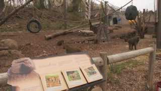 Monkey Math screenshot 4